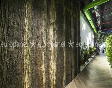 Ağaç kabuğu desenli hazır plaka duvar panelleri ahşap duvar paneli - 552