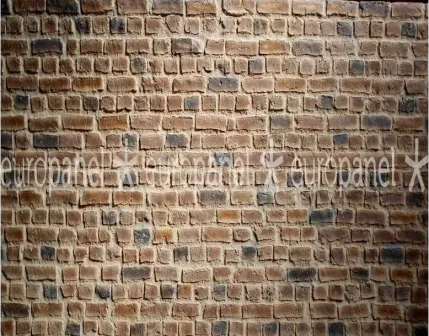 Loft Brick Dekoratif Tuğla Duvar Paneli - ANDES