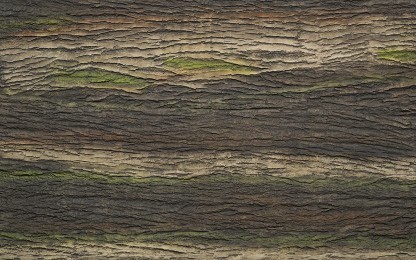 Tabiatın yansımaları Ahşap duvar panelleri