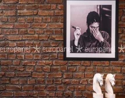 Tuğla görünümünün özgün halinin desen ve renk alternatifleriyle üretilmiş dekoratif kaplama panel modelidir.