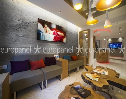 Europanel duvar panelleri hiçbir duvar malzemesinde bulunmayan özellik ve çeşitliliğe sahiptir.