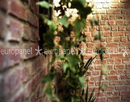 Europanel duvar paneli, yeni yöntemler geliştirmek için seçenekler sunabilen kreatif dekorasyon malzemesidir.